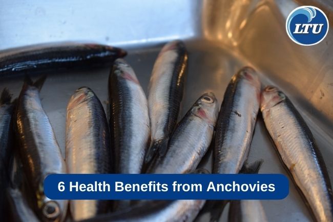 6 Health Benefits from Anchovies